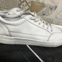 کتونی مردانه ونس|کیف، کفش، کمربند|رشت, رشتیان|دیوار