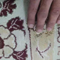 فرش ۱۲ متری جفت|فرش|تربت جام, شهرک آزادگان|دیوار