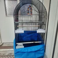 قفس طوطیسانان