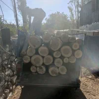 خرید انواع چوب|خدمات باغبانی و درختکاری|جیرفت, |دیوار