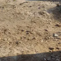 زمین