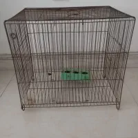 قفس پرنده