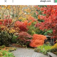 باغ کشاورزی نزدیک  بیرجند