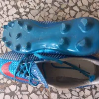 کفش ورزشی،چمن|کیف، کفش، کمربند|لنگرود, |دیوار