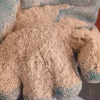 کارگر ساده در کارخانه برنجکوبی|استخدام صنعتی، فنی، مهندسی|میانه, |دیوار