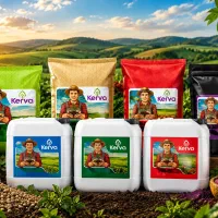 رشد بهتر و سود بیشتر از زمینت با کود کروا