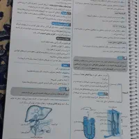 کتاب کار زیست دهم(سیگنال۲۰)|کتاب و مجله آموزشی|سبزوار, امیر کبیر|دیوار