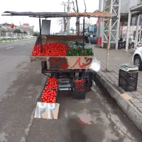 گاری بزرگ کاسبی