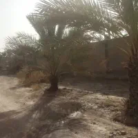 زمین سر خیابان اصلی روبه روی مدرسه نمونه پسرانه