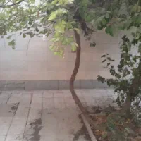 اجاره خانه ویلایی ۱۱۰ متری ۱ خوابه در گلستان|اجارهٔ خانه و ویلا|اصفهان, گلستان|دیوار