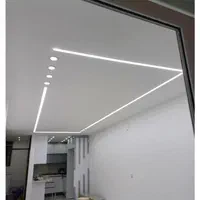 کارگاه تولید لاینر لند با ۳سال گارانتی تعویض لاینر|ریسه و چراغ تزئینی|سنندج, |دیوار