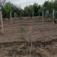 اجاره باغ ۱۳۰۰ متری