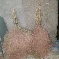 جارو محلی امسالی