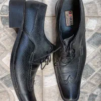 کفش مردانه چرم تبریز|کیف، کفش، کمربند|رشت, شکار اسطلخ|دیوار