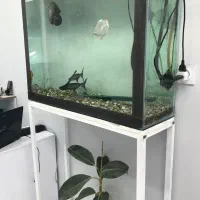 اکواریوم همراه با ماهی و تجهیزات