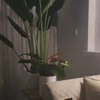 مشاوره با قرارداد ( تخفیف روز دانش آموز)