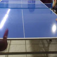 میز پینگ پنگ