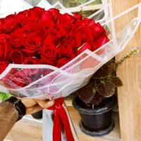 گل رز تازه و عمده|گل و گیاه طبیعی|شیراز, جوادیه|دیوار