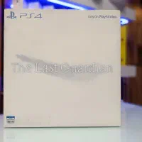 Evil 4 LAST II Ragnarok Last Guardian کالکتور|کنسول، بازی ویدئویی و آنلاین|تهران, لاله زار|دیوار