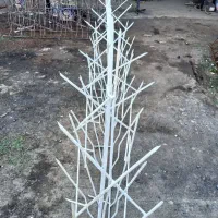 شاخ گوزنی و حفاظ