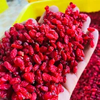 زرشک قاینات بیرجند