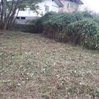 تراشیدن علفهای هرز با دستگاه|خدمات باغبانی و درختکاری|رامسر, |دیوار