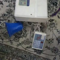 دزدگیر تلفن کننده|دوربین مداربسته|اصفهان, باغ دریاچه|دیوار