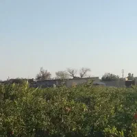 باغ-اناربا4ساعت-اب-سندی-وبرق
