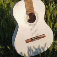 گیتار کلاسیک|گیتار، بیس، امپلیفایر|تالش, هشتپر|دیوار