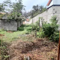 مسکونی دور دیوار|فروش زمین و ملک کلنگی|لشت نشا, |دیوار