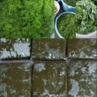 سبزی خورشتی بخارپز شده با بهترین کیفیت