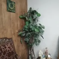 گل  درختچه  درخت  مصنوعی دومتری