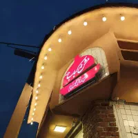 استخدام سالندار