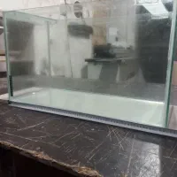 آکواریوم|ماهی|رشت, شهرک آیت الله منتظری|دیوار