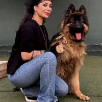 مربی سگ (خانم)|خدمات آموزشی|تهران, جردن|دیوار