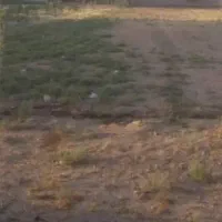 فروش فوری زمین زیر قیمت منطقه بدلیل مهاجرت