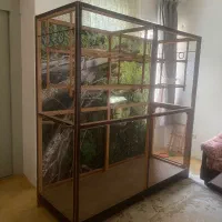 قفس پرندگان