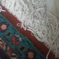 یک جفت فرش دستباف شیش متری|فرش|کرمانشاه, |دیوار