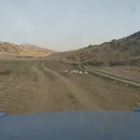 غاز|حیوانات مزرعه|یاسوج, |دیوار