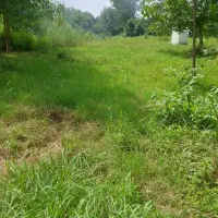 فروش۱۰۵۰مترزمین گردشگری سندتک برگ جاده شفت(ملاسرا)