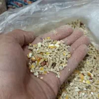 دان|لوازم جانبی حیوانات|تهران, شهید رجایی|دیوار