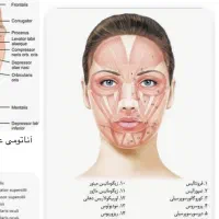 تزریق ژل وبوتاکس