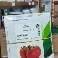 بذر گوجه فرنگی باسیمو