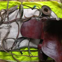 زین اسب|اسب و تجهیزات اسبسواری|حسن آباد, |دیوار