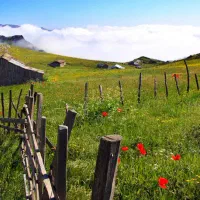 تور دو روزه ماسال