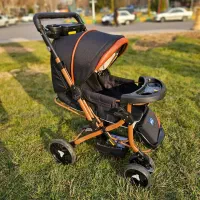 کالسکه دلیجان مدل بنیتا