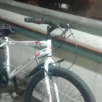 دوچرخه ویوا سایز ۲۶ دنده ای ۱۴۰۴ نو