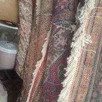 فرش وموکت|فرش|ارومیه, |دیوار