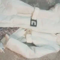 کاپشن وپالتوبه روز