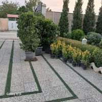 اجرا ،طراحی و نگهداری از فضای سبز|خدمات باغبانی و درختکاری|کرج, شهرک سهرابیه|دیوار